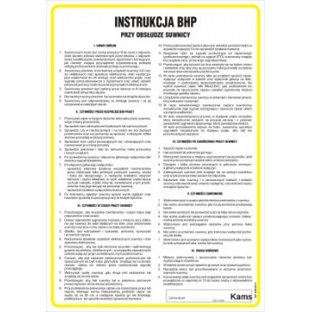 IAE06 Instrukcja BHP przy obsłudze suwnicy