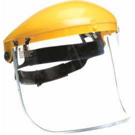 VISIGUARD 