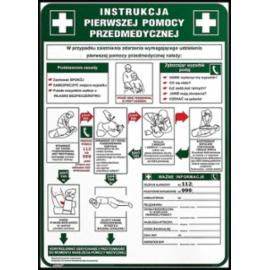 Z-IB13 - Instrukcja BHP „Instrukcja pierwszej pomocy przedmedycznej” - 250x350