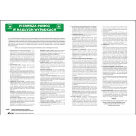 ZZ-IB04 - Instrukcja BHP i PPOŻ Pierwsza pomoc w nagłych wypadkach - 250x500