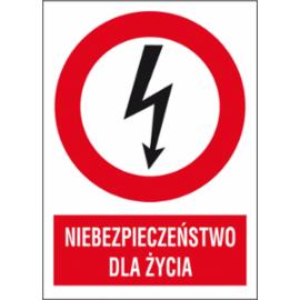 ZZ-1EZA - Znak elektryczny Niebezpieczeństwo dla życia. - 105X148-74X105