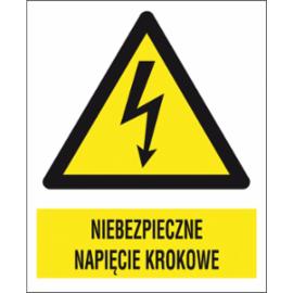 ZZ-5EOA - Znak elektryczny Niebezpieczne napięcie krokowe. - 105X148-74X105