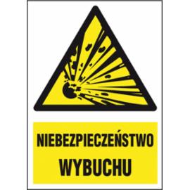 ZZ-16P-2 - Znak ochrony PPOŻ Niebezpieczeństwo wybuchu - 220x300