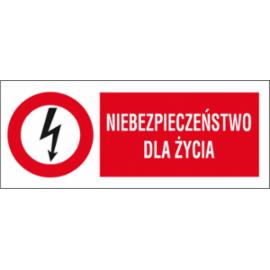 ZZ-1EZB - Znak elektryczny Niebezpieczeństwo dla życia. - 74X210