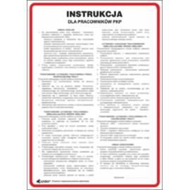 ZZ-IP08 - Instrukcja BHP i PPOŻ PPOŻ dla pracowników PKP - 250x350