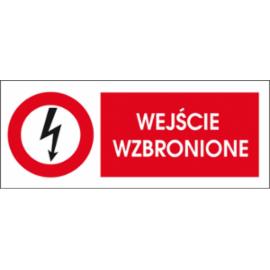 ZZ-5EZB - Znak elektryczny Wejście wzbronione. - 74X210