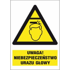 ZZ-13O-1 - Znak BHP Uwaga niebezpieczeństwo urazu głowy - 220x300