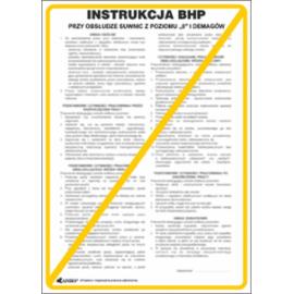 ZZ-IBM18 - Instrukcja BHP i PPOŻ BHP przy obsłudze suwnicy sterowanej z parteru - 250x350