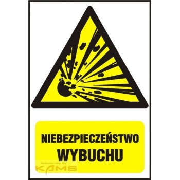 BC004 Niebezpieczeństwo wybuchu - materiały wybuchowe.