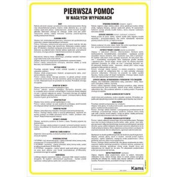 Pierwsza pomoc w nagłych wypadkach